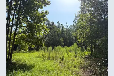 2361 NE 115th Avenue, Silver Springs, FL 34488 - Photo 32