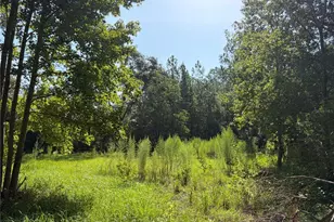 2361 NE 115th Ave, Silver Springs, FL 34488 - Photo 32