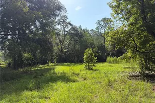 2361 NE 115th Ave, Silver Springs, FL 34488 - Photo 34