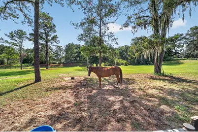 11050 SE 37th Avenue Road, Belleview, FL 34420 - Photo 76