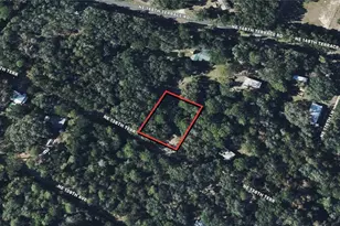 Tbd NW 138th Terrace, Fort Mc Coy, FL 32134 - Photo 1