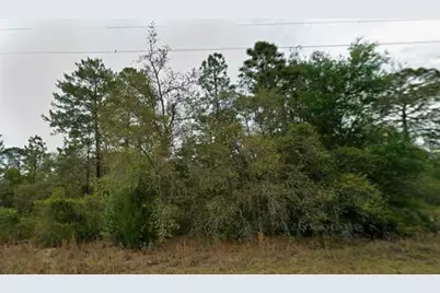 5909 W Stockholm Lane, Dunnellon, FL 34433 - Photo 6