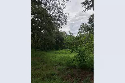 7484 SW 150th Street, Dunnellon, FL 34432 - Photo 6