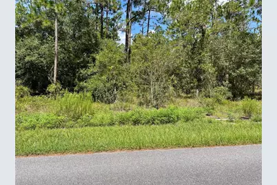 Lot 19 NW Mallard Avenue, Dunnellon, FL 34431 - Photo 4