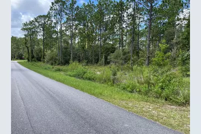 Lot 19 NW Mallard Avenue, Dunnellon, FL 34431 - Photo 2