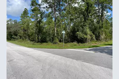 Lot 19 NW Mallard Avenue, Dunnellon, FL 34431 - Photo 1