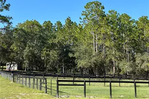 11670 SE 55th Ln, Morriston, FL 32668 - Photo 6