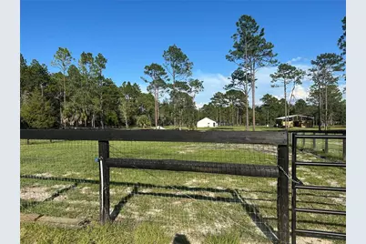 11670 SE 55th Lane, Morriston, FL 32668 - Photo 8