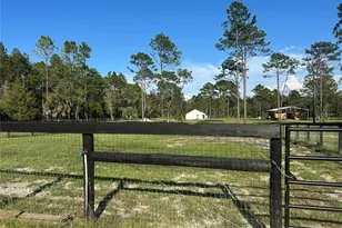 11670 SE 55th Ln, Morriston, FL 32668 - Photo 8