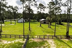 11670 SE 55th Ln, Morriston, FL 32668 - Photo 4