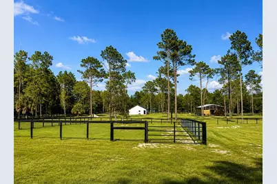 11670 SE 55th Lane, Morriston, FL 32668 - Photo 4