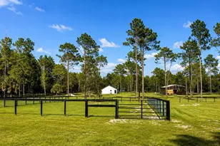 11670 SE 55th Ln, Morriston, FL 32668 - Photo 4