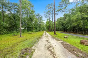 13250 NW 160th Ave, Morriston, FL 32668 - Photo 46