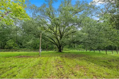 13250 NW 160th Avenue, Morriston, FL 32668 - Photo 40