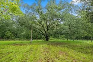 13250 NW 160th Ave, Morriston, FL 32668 - Photo 40