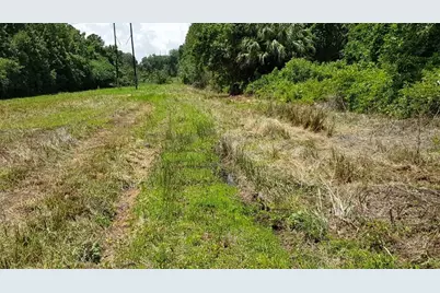9438 SE Hwy 464C SE, Ocklawaha, FL 32179 - Photo 10