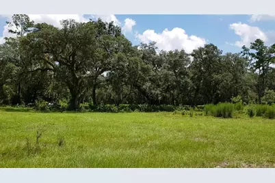 9438 SE Hwy 464C SE, Ocklawaha, FL 32179 - Photo 6