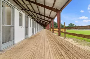 1345 NE 155 Pl, Citra, FL 32113 - Photo 62