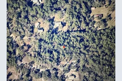 Sw 157th, Ocala, FL 34473 - Photo 4