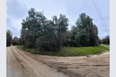 Tbd NE 81st Ter Drive, Bronson, FL 32621 - Photo 1