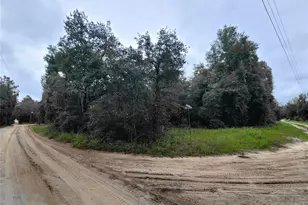 Tbd NE 81st Ter Dr, Bronson, FL 32621 - Photo 1