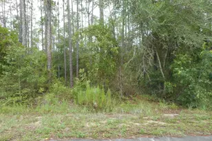 Lot 5 SW Southview Ct, Dunnellon, FL 34431 - Photo 1