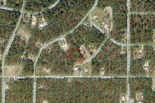 7238 SW 125th Terrace Rd, Ocala, FL 34481 - Photo 28