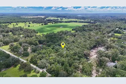 6594 N Gold Leaf Point, Dunnellon, FL 34433 - Photo 58