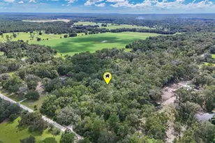 6594 N Gold Leaf Point, Dunnellon, FL 34433 - Photo 58