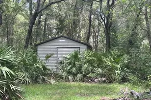 6594 N Gold Leaf Point, Dunnellon, FL 34433 - Photo 34