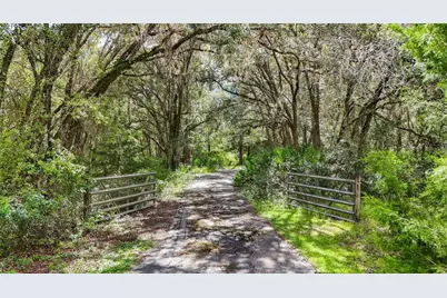 6594 N Gold Leaf Point, Dunnellon, FL 34433 - Photo 54