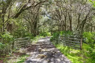 6594 N Gold Leaf Point, Dunnellon, FL 34433 - Photo 54
