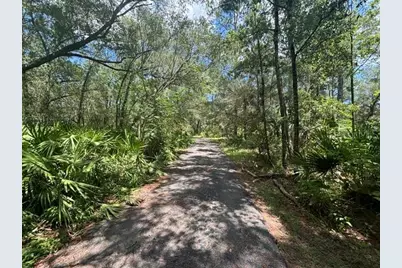 6594 N Gold Leaf Point, Dunnellon, FL 34433 - Photo 2
