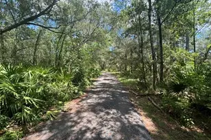 6594 N Gold Leaf Point, Dunnellon, FL 34433 - Photo 2