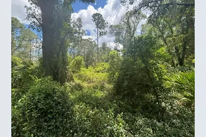 6594 N Gold Leaf Point, Dunnellon, FL 34433 - Photo 50
