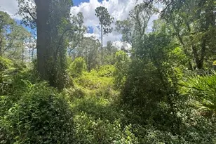 6594 N Gold Leaf Point, Dunnellon, FL 34433 - Photo 50