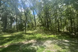 6594 N Gold Leaf Point, Dunnellon, FL 34433 - Photo 40