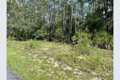 Lot 23 SW Tiger Lake Boulevard W, Dunnellon, FL 34431 - Photo 2