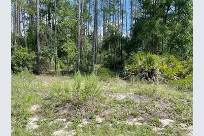 Lot 23 SW Tiger Lake Boulevard W, Dunnellon, FL 34431 - Photo 1