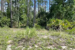 Lot 23 SW Tiger Lake Blvd W, Dunnellon, FL 34431 - Photo 1