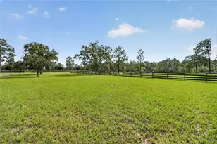 6351 SE 140 Ave, Morriston, FL 32668 - Photo 70