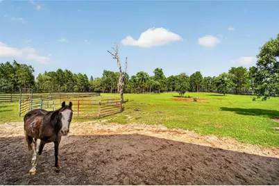 6351 SE 140 Avenue, Morriston, FL 32668 - Photo 66