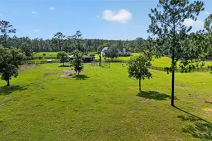 6351 SE 140 Ave, Morriston, FL 32668 - Photo 78