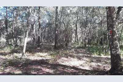 00 NW Chestnut Avenue, Dunnellon, FL 34431 - Photo 2