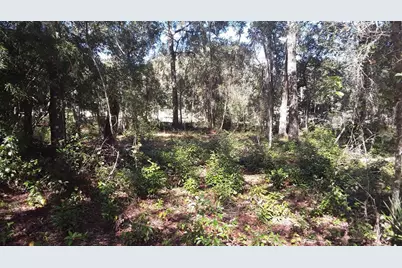 00 NW Chestnut Avenue, Dunnellon, FL 34431 - Photo 4