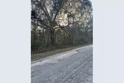 8276 N Elida Avenue, Dunnellon, FL 34434 - Photo 2