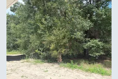 17833 SW 61st Lane Road, Dunnellon, FL 34432 - Photo 12