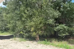 17833 SW 61st Ln Rd, Dunnellon, FL 34432 - Photo 12
