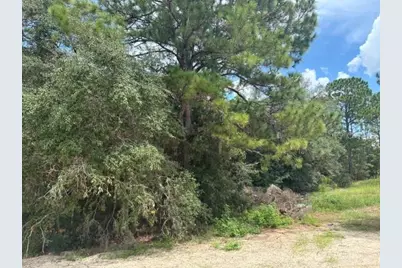 17833 SW 61st Lane Road, Dunnellon, FL 34432 - Photo 10