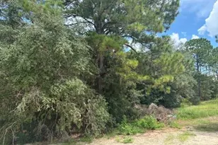 17833 SW 61st Ln Rd, Dunnellon, FL 34432 - Photo 10